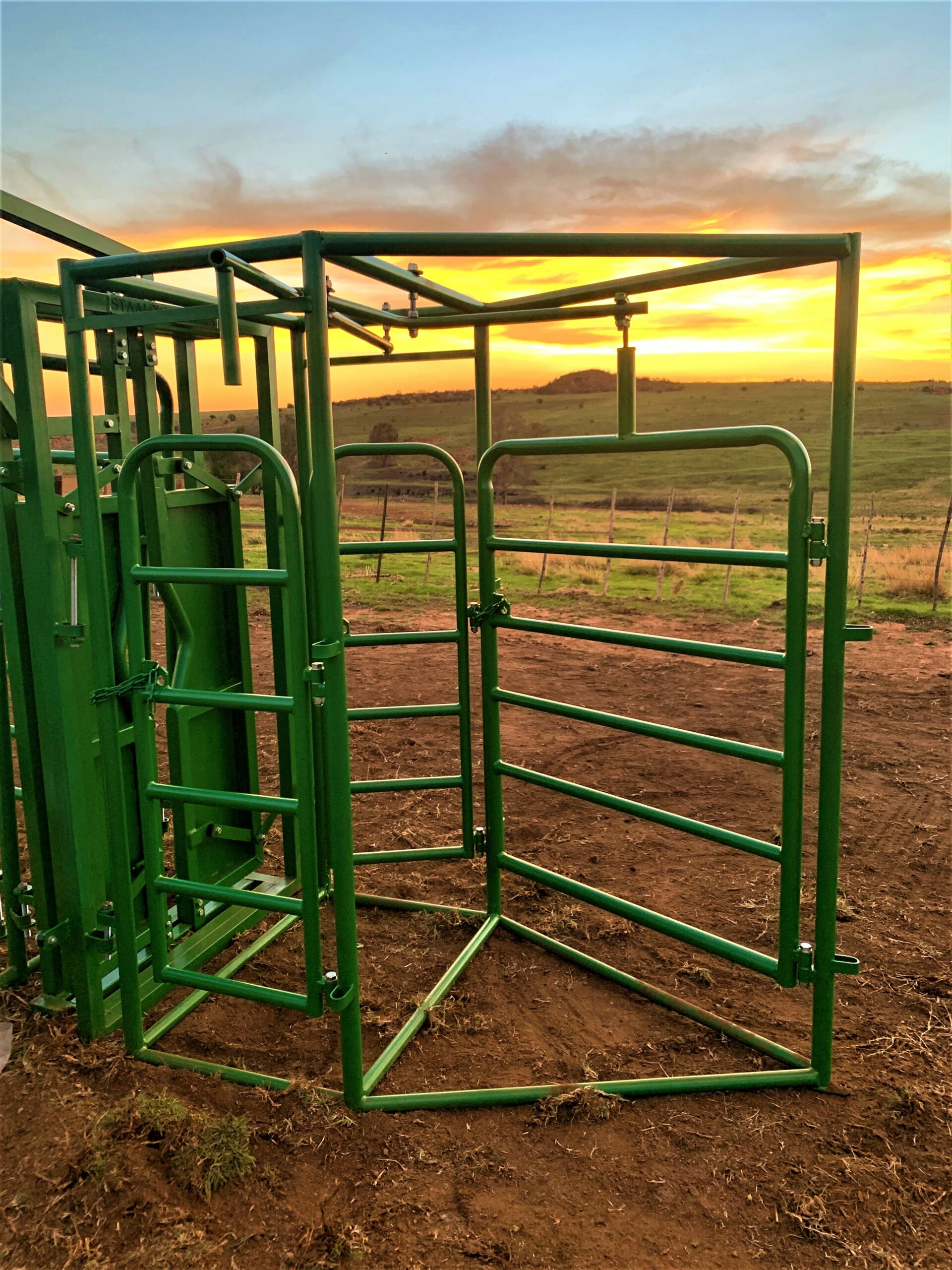 Cattle Sorters - Staalplaas